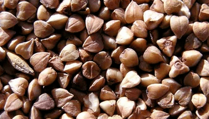 Buckwheat porridge alang sa pagkawala sa timbang